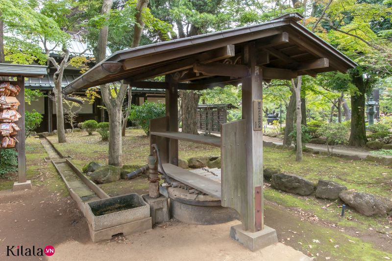 chùa mèo chiêu tài Gotokuji